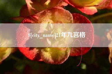 白山21年九宫格