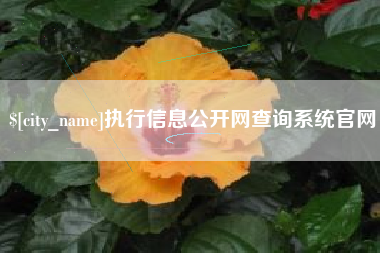 白山执行信息公开网查询系统官网