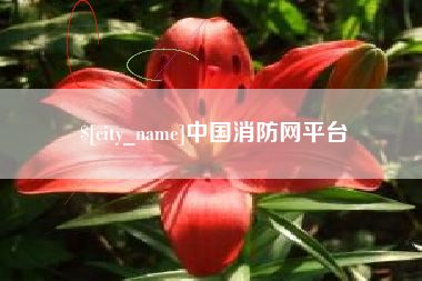 白山中国消防网平台