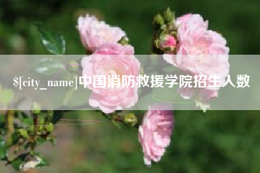 白山中国消防救援学院招生人数