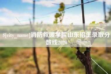 白山消防救援学院山东招生录取分数线2020