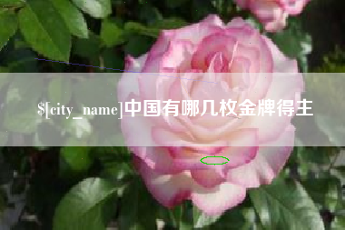 白山中国有哪几枚金牌得主