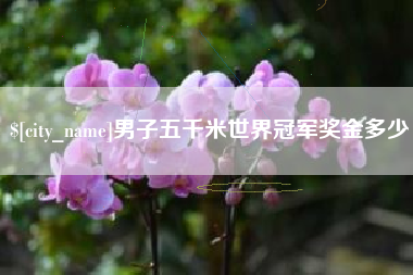 白山男子五千米世界冠军奖金多少