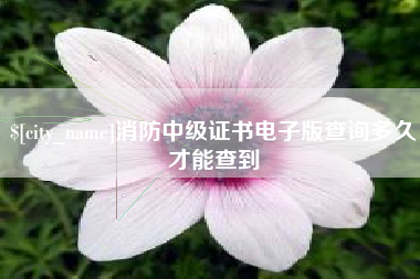 白山消防中级证书电子版查询多久才能查到