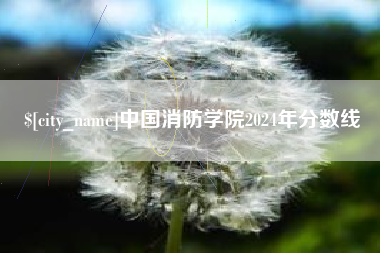 白山中国消防学院2024年分数线