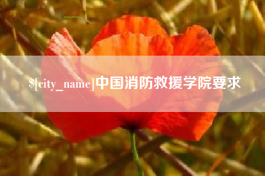 白山中国消防救援学院要求