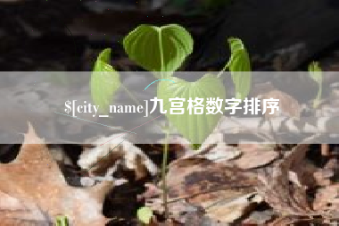 白山九宫格数字排序
