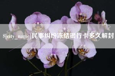 白山民事纠纷冻结银行卡多久解封