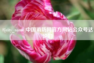 白山中国消防网官方网站公众号达伦特