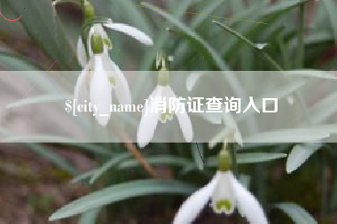 白山消防证查询入口