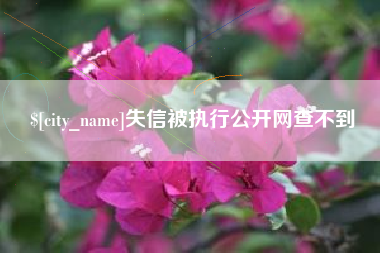 白山失信被执行公开网查不到