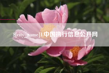 白山1.中国执行信息公开网
