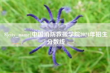 白山中国消防救援学院2024年招生分数线