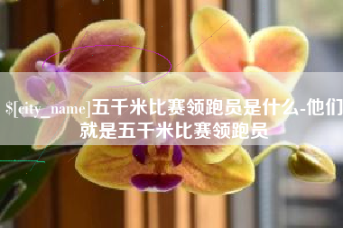 白山五千米比赛领跑员是什么-他们就是五千米比赛领跑员