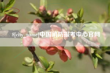 白山中国消防报考中心官网