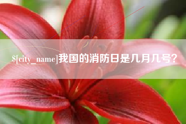 白山我国的消防日是几月几号？