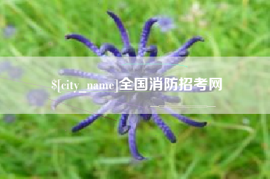 白山全国消防招考网