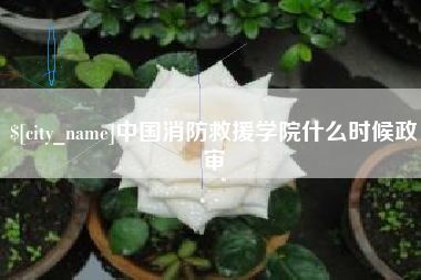 白山中国消防救援学院什么时候政审