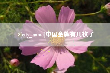 白山中国金牌有几枚了
