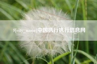 白山中国执行执行信息网
