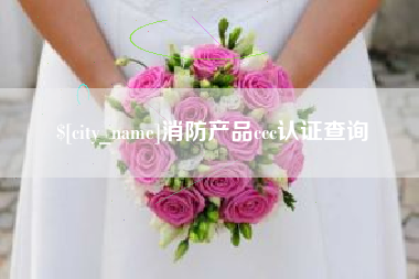 白山消防产品ccc认证查询