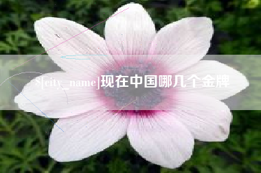 白山现在中国哪几个金牌