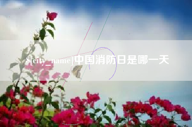 白山中国消防日是哪一天