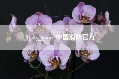 白山中国消防官方