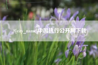 白山中国执行公开网下载