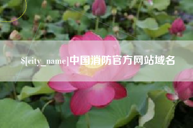白山中国消防官方网站域名