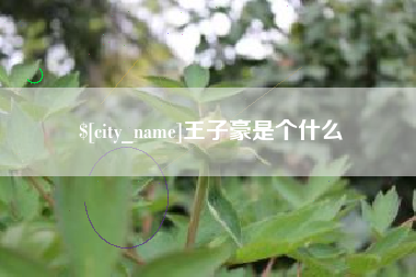 白山王子豪是个什么