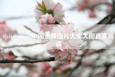 白山中国金牌图片大全大图真实高清