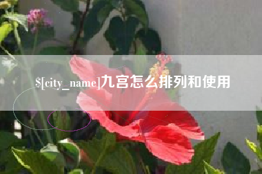 白山九宫怎么排列和使用