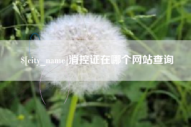 白山消控证在哪个网站查询