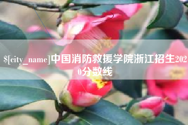 白山中国消防救援学院浙江招生2020分数线