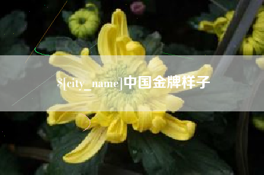 白山中国金牌样子