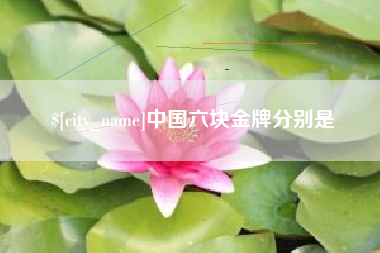 白山中国六块金牌分别是
