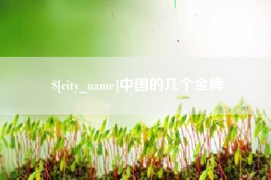 白山中国的几个金牌