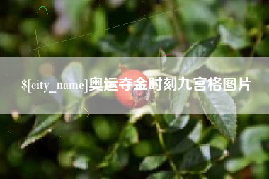 白山奥运夺金时刻九宫格图片