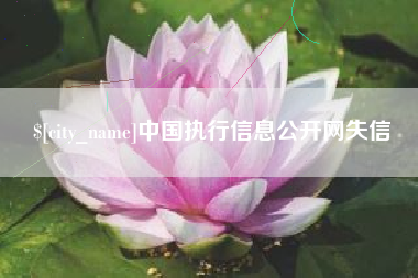 白山中国执行信息公开网失信
