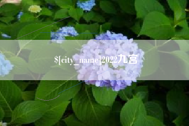 白山2022九宫