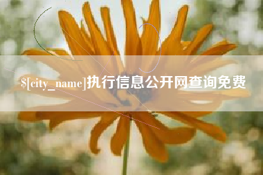 白山执行信息公开网查询免费